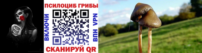 Галлюциногенные грибы GOLDEN TEACHER  маркетплейс клад  Липецк 