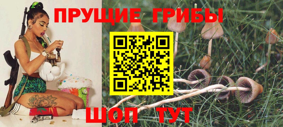 Псилоцибиновые грибы мицелий  Вход с VPN  Липецк 