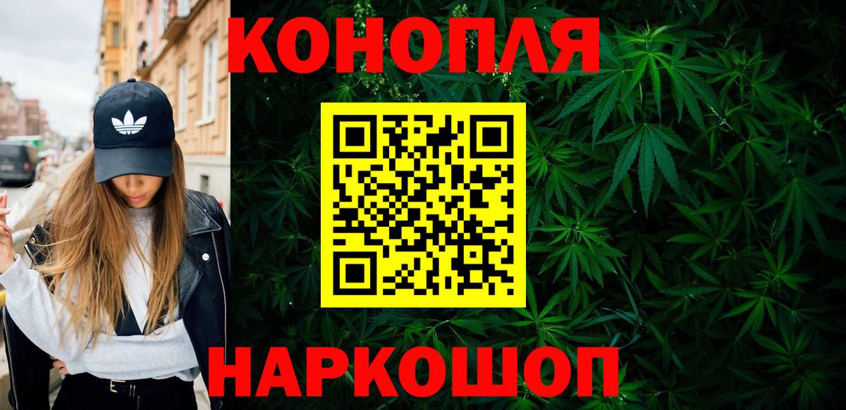Конопля сатива  Вход с VPN  Каннабис семена  Липецк  Конопля гибрид  Бошки марихуана OG Kush 